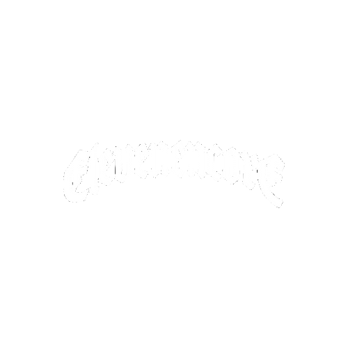 ELEVEN ENCORE